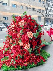 -上海玫瑰医疗美容医院