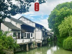 -枫泾丁氏烧卖(枫丽路店)