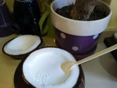 -志龙皇冠吃货椰子铺