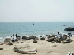 -玫瑰海岸文化旅游度假区