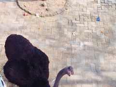 -武汉紫薇都市田园