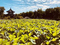 -莲池书院博物馆