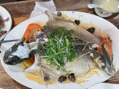 -东鸽皇(奥园·中环广场店)