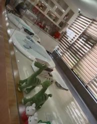 -宝生月子中心·独栋独院式(南山店)