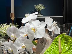 -Oyster Talks 四度蚝法餐厅