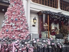 -秘密旅行Bonjour(黑金冠 江南西店)