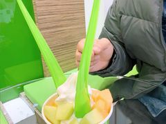 -Salud撒露欧洲冻酸奶(蓝色港湾店)