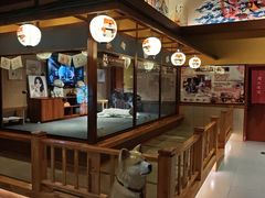 -大江户·温泉洗浴(浑南店)
