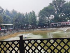 -尚庄度假村·庭台树下·户外烧烤·团建CS·轰趴营地(上庄水库店)