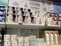 -维也纳国际机场