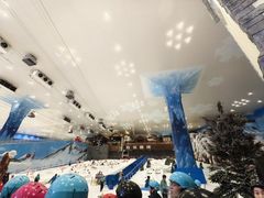 -长沙湘江欢乐雪域