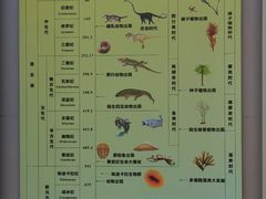 -中国地质大学逸夫博物馆
