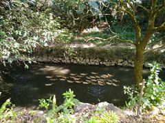 -和顺柏联温泉