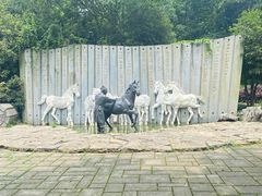 -白马涧龙池景区