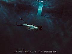-苏州海洋馆