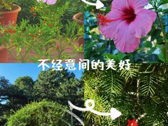 -国家植物园