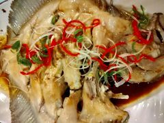 -渡海小渔村.老辈日照菜