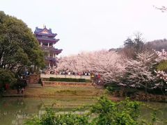 -麦当劳(中二横路店)