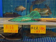 -渔意楼·驰名沙田乳鸽(五羊店)