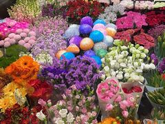 -双季花艺园艺市场(浦东店)