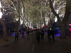 -李公堤