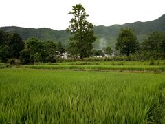 -塔川景区