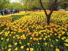 -长春公园(普阳街道)