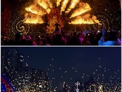 -海合安武汉极地海洋公园