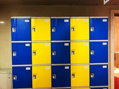 -重庆市奥林匹克体育中心-游泳跳水馆