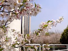 -大宁公园