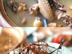 茶油土鸡牛奶根汤-茶油香闽南菜·花园餐厅(前埔店)