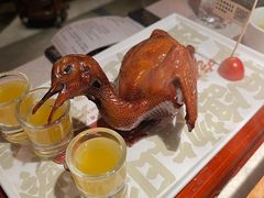 -大鸽饭(动物园店)