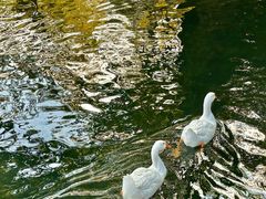 -西山人家·传统苏帮菜·家宴(木渎店)