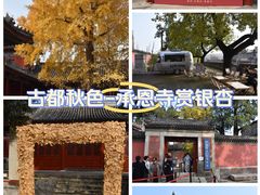-承恩寺