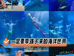 -泉城欧乐堡海洋极地世界