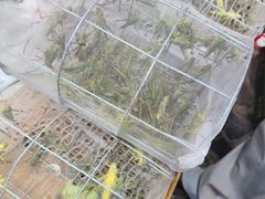 -王婆炒鱼(总店)