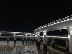 -演武大桥观景平台