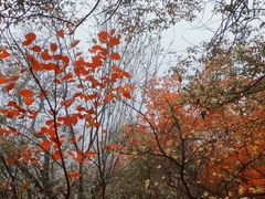 -终南山南五台景区