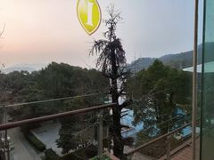 -逸廊大堂吧-下午茶·简餐-千岛湖自由洲际殿
