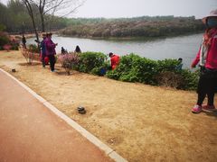 -丁香湖公园