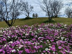 -花开海上生态园