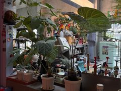 -nodcafe(M50创意园店)