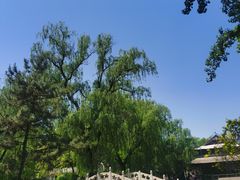 -保定市动物园