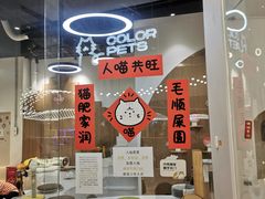 -COLOR PETS 撸猫馆·购猫·猫咖(长风大悦城店)
