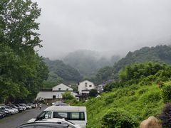 -龙井村