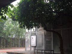 -花间茶(华侨城创意园店)