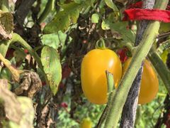 -松浦·观江国际