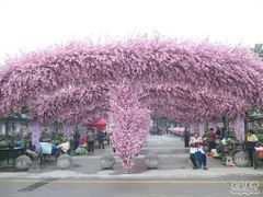 -南汇桃花村