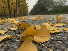 -汉长安城未央宫国家考古遗址公园