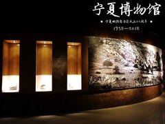 -宁夏博物馆